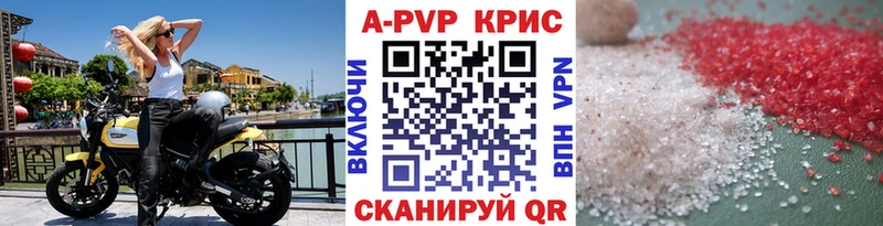 A-PVP СК  Каргополь 