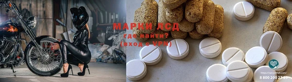 крисы Новодвинск