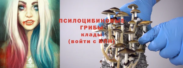 a pvp Алексин