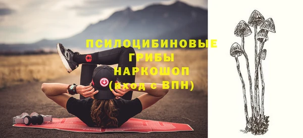 а пвп мука Новозыбков