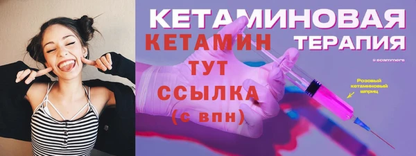 крисы Новодвинск