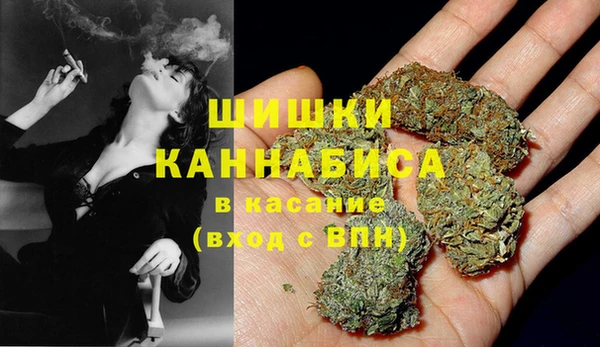твердый Алзамай