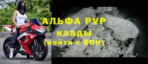 крисы Новодвинск